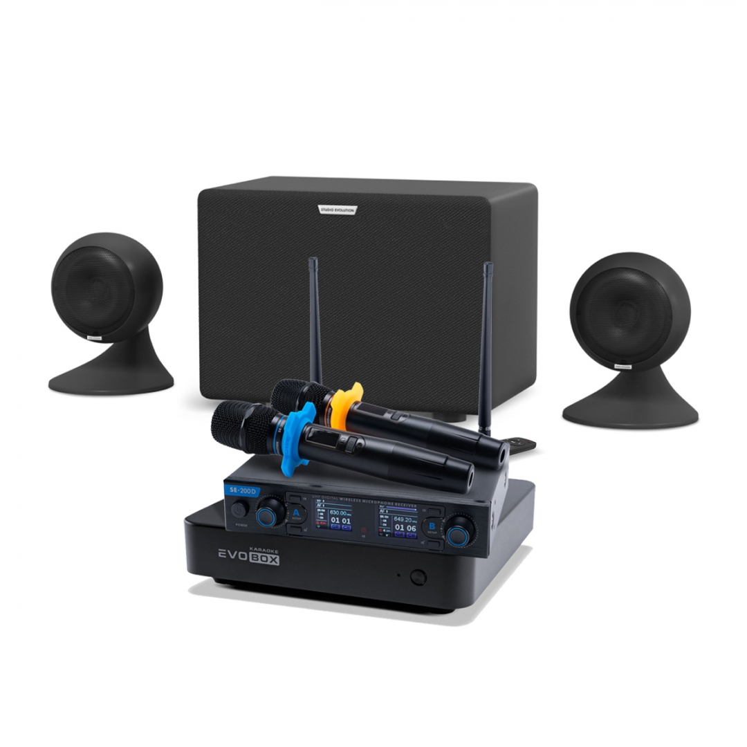 караоке-комплект EVOBOX + EvoSound Sphere 2.1 в Алтайском крае