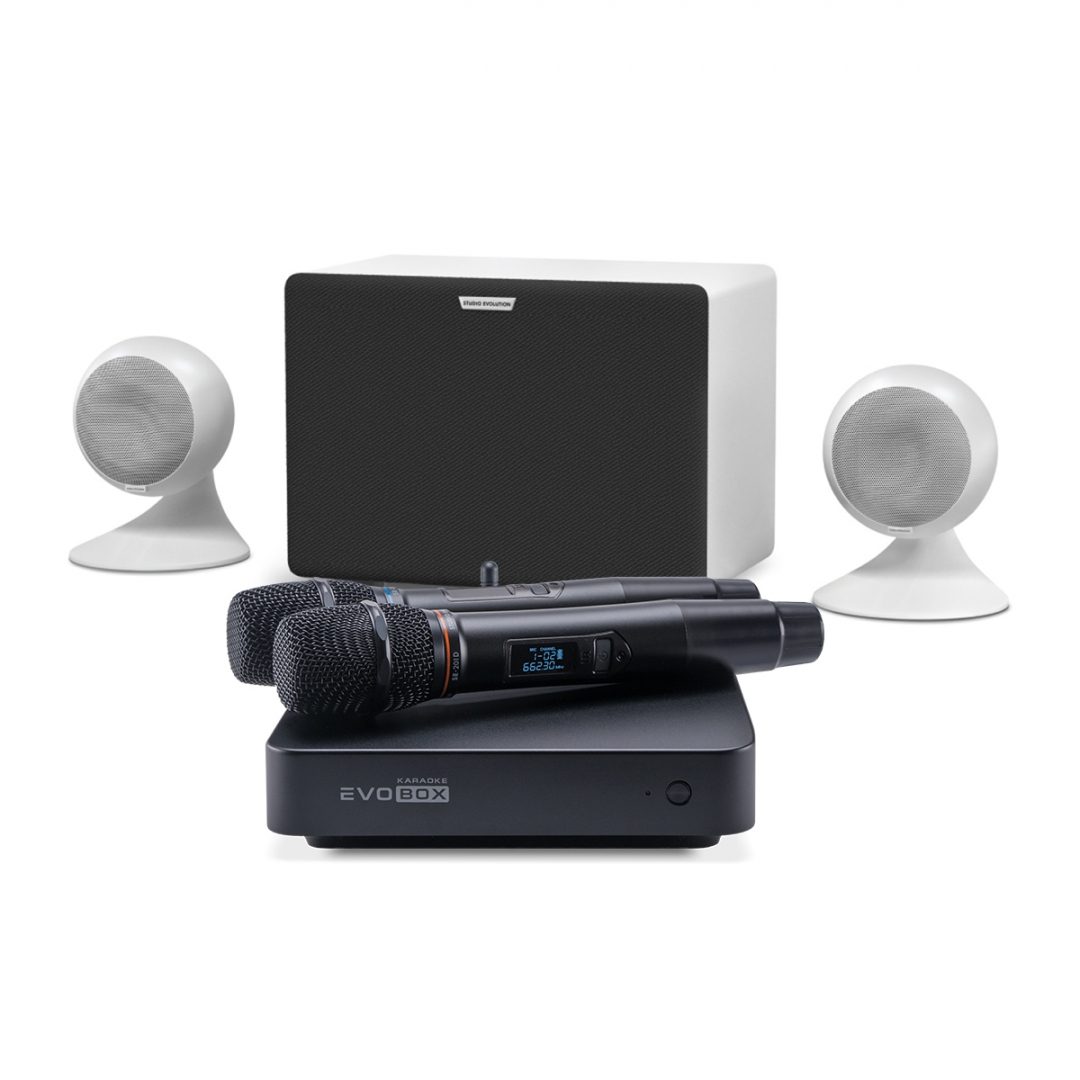 караоке-комплект EVOBOX Classic + EvoSound Sphere 2.1 в Алтайском крае