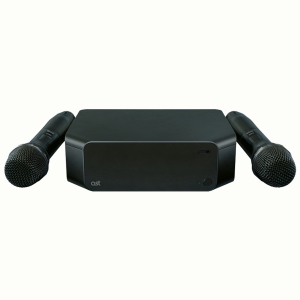 Профессиональная караоке-система AST Zoom 2 (AST-90) в Алтайском крае