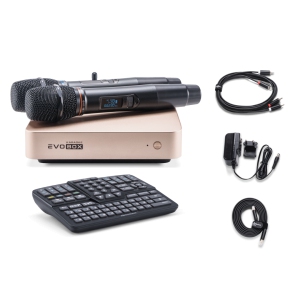 EVOBOX Classic караоке-система для дома в Алтайском крае